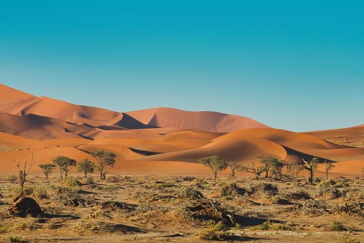 Qué incluye Namibia Fascinante con dunas rojas y árboles de Sossusvlei