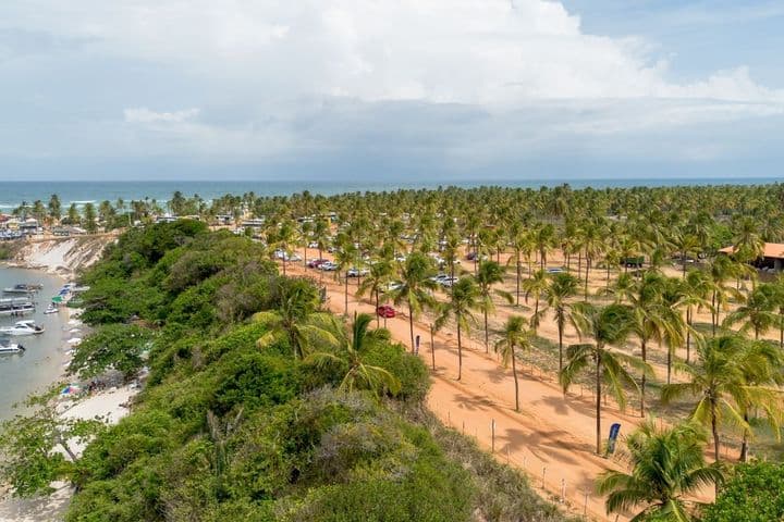 Viajar a Maceió desde Uruguay con vista aérea de playa y palmeras
