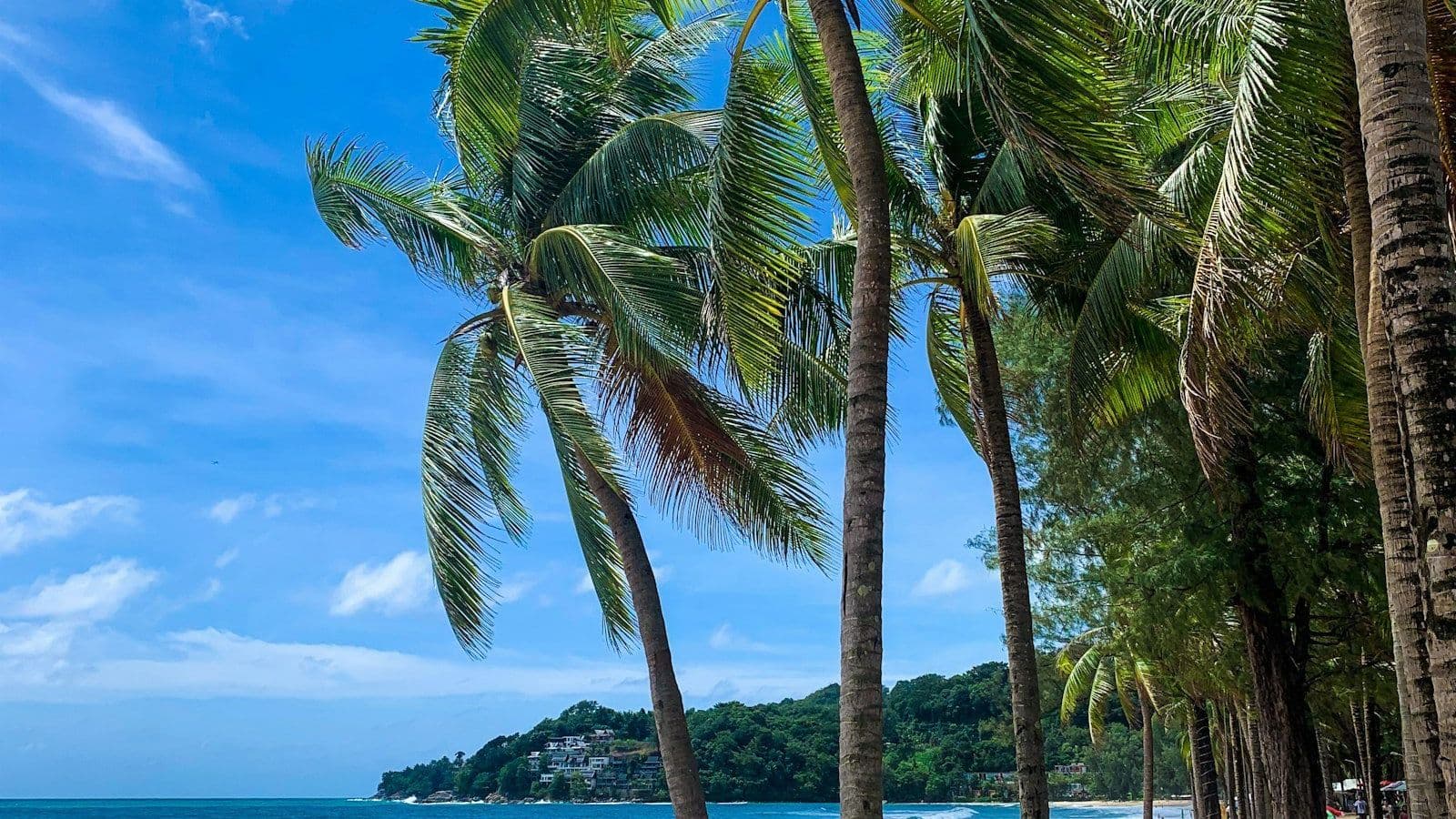 Playa tropical con palmeras en Phuket, Tailandia