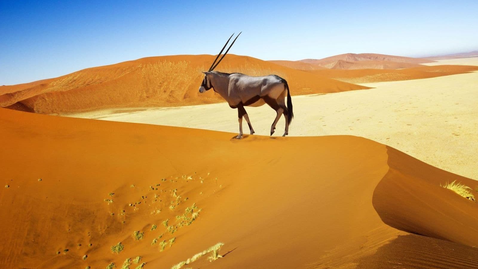 Desiertos de Namibia