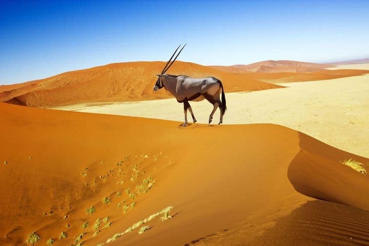 Desiertos de Namibia
