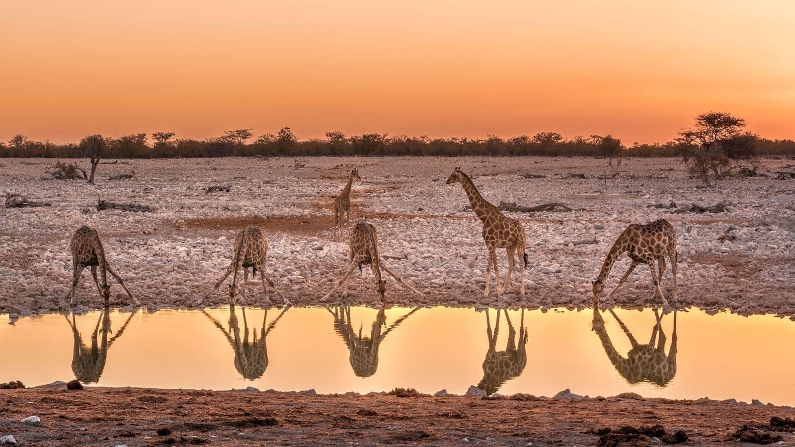 Namibia Fascinante