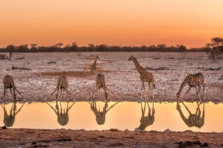 Namibia Fascinante