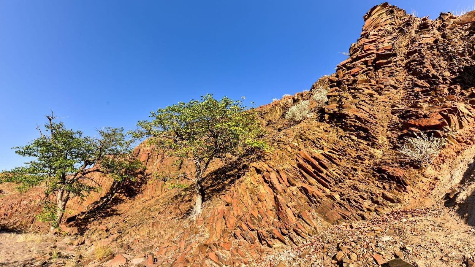 Namibia Fascinante y Desierto de Kalahari