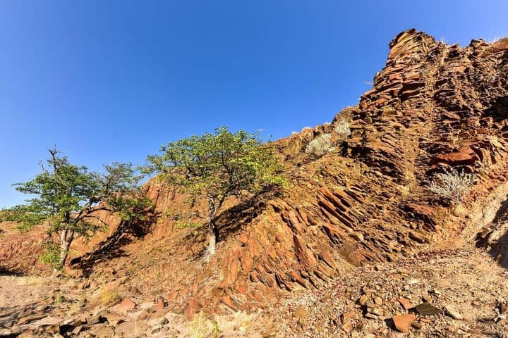 Namibia Fascinante y Desierto de Kalahari