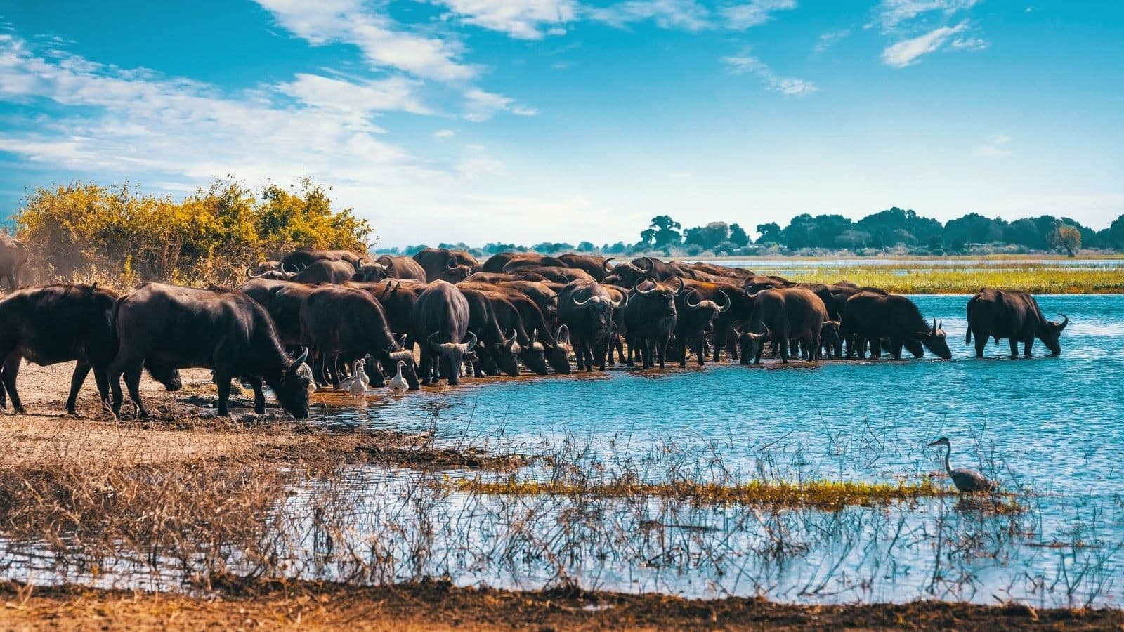 Sudáfrica, Cataratas Victoria y Chobe